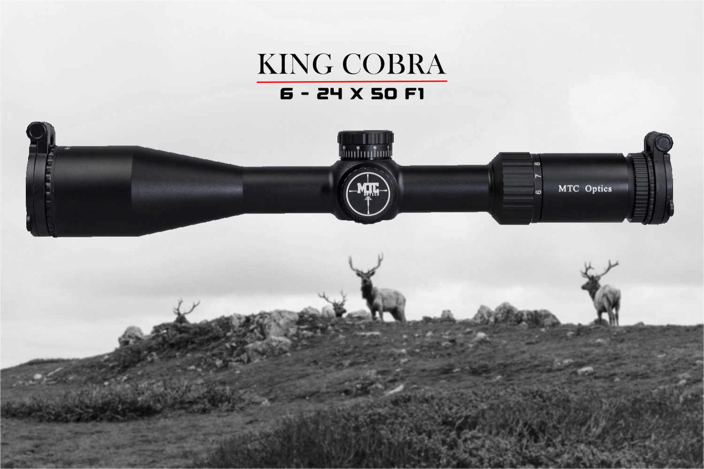 King Cobra